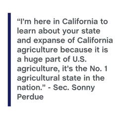 Sonny Perdue