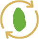 Pistacho Nut